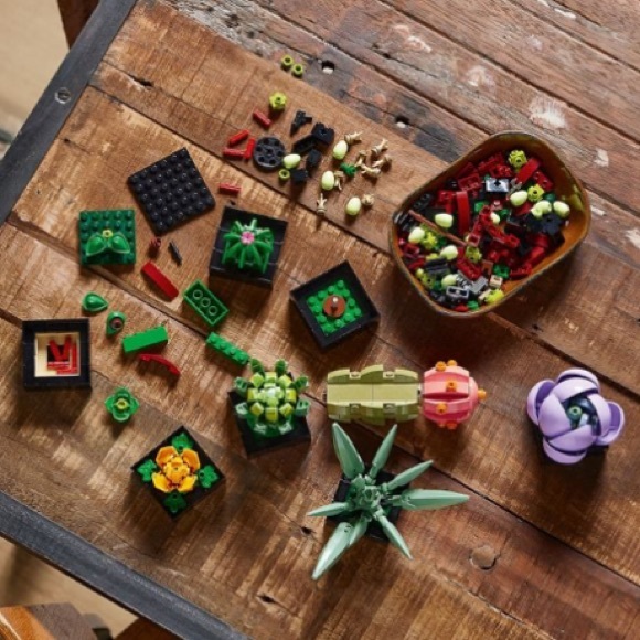 Lego Succulent Botanicals Collection - Picture 7 of 7